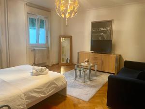 Lausanne superb 2 rooms apartment on the ground floor