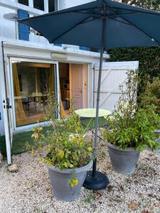 Appartements Studio Les Terrasses : photos des chambres