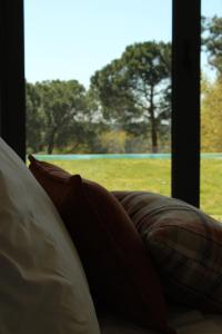 Lusus Wine House - Refúgio vínico com piscina no Dão