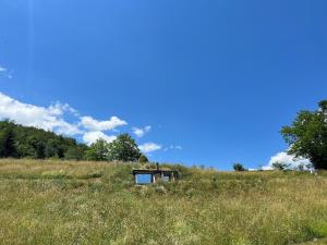 Hobbit house - Tara place