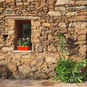 Maisons de vacances A Casuccia - Maison traditionnelle Corse avec piscine privee : photos des chambres