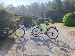 Studio dans les Landes