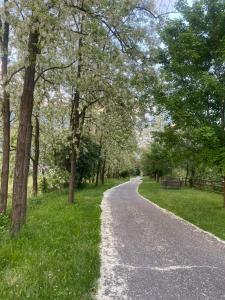 La Casa Del Gelsomino