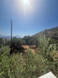 Nikosgardenplacebythesea