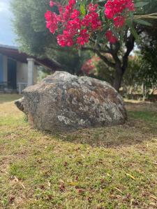 Affitta Camere L'Oleandro img40