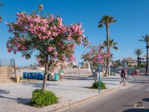 MARGARITA&GOLF - Orihuela Costa