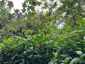 Milemeleni Guesthouse