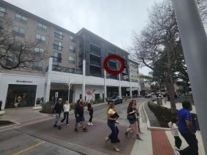 The Treehouse Spacious & Fun 2BR Retreat in the Heart of the Domain