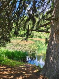 Ferienwohnung Familie Pichler