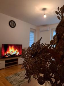 Suite, apartment per day - RELAX - Ubytování bez kategorie ve městě Sarajevo