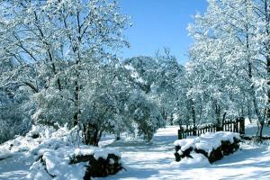 Maisons de vacances Le Gite des Fees in Crevoux : photos des chambres