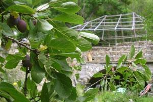 Maisons de vacances Le Gite des Fees in Crevoux : photos des chambres