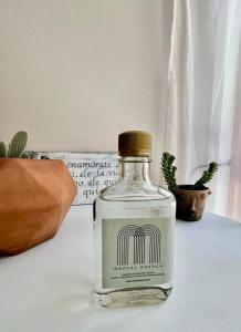 Casa Tortuga Centro, Diseño, Confort, Parking