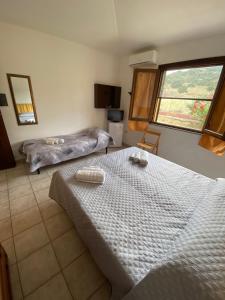 Camera Matrimoniale/Doppia con Letti Singoli con Bagno Privato