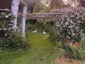Sejours a la campagne Domaine de la Jasseix : photos des chambres