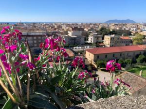 Domus Lucio & Gaio Terracina