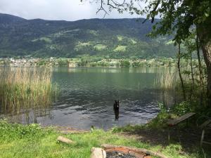 Apartment Vogelsinger