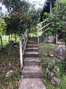 Cabaña El Bosque - Ubytování bez kategorie ve městě Turrialba