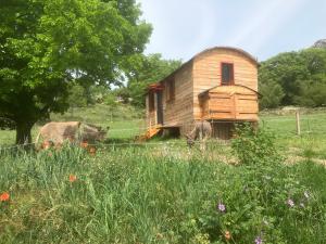 Campings La roulotte de la croix : photos des chambres