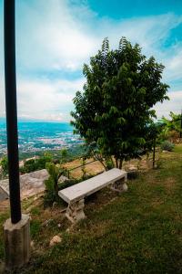 Green Apartment el prado