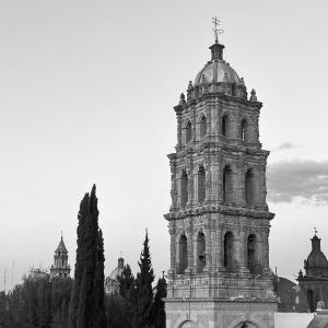 Entre Cantera y Cactus