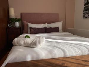 Entre Cantera y Cactus