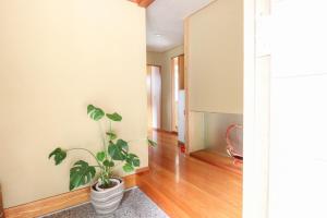 勝山四季の宿 清流亭 一棟貸で周囲500メートルに民家なし 全天候型バーベキュー場オープン