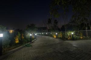 Chauhan Farms