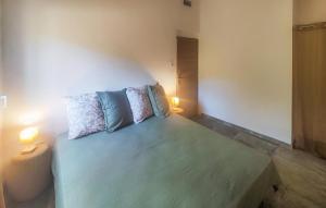 Maisons de vacances 3 Bedroom Stunning Home In Vieussan : photos des chambres