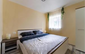 Beautiful Home In Lupoglav