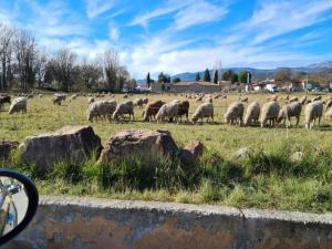 Appartements Gorgeous Apartment in Montauroux with Pool : photos des chambres