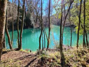 Appartements Gorgeous Apartment in Montauroux with Pool : photos des chambres