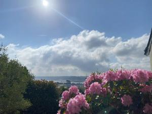 Maisons de vacances Grande maison familiale 11 pers. WIFI, proche port Perros-Guirec - FR-1-368-463 : photos des chambres