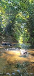 Sítio Com riacho particular em Cachoeira de Macacu