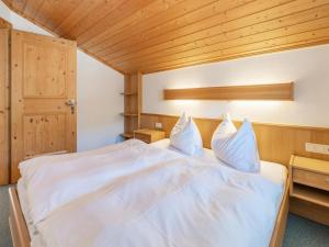 Apartment in Mittersill near Ski Slopes, cleaning included