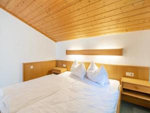 Apartment in Mittersill near Ski Slopes, cleaning included