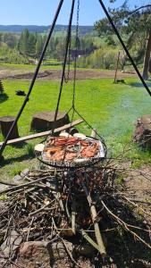 Czarny Koń i Biały Koń Black Horse & White Horse Apartamenty