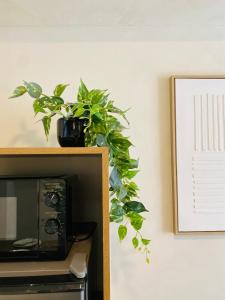 J2 Tranquil Tokyo Retreat