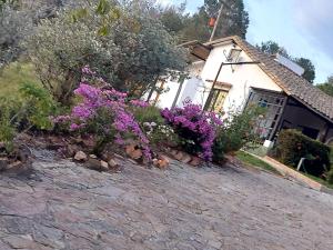 La casa de la montaña