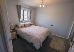 Cozy 1 bedroom house close to centre