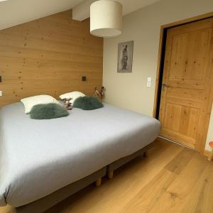Appartements Nid douillet a la montagne : photos des chambres