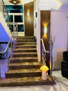 فيلا الفا بلس مارسيليا بيتش 4