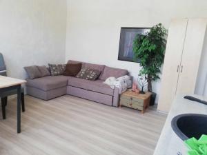 basic pärnu studio