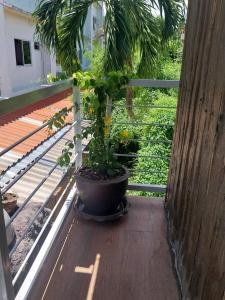 Water Lily Spa Bungalows by Rawai Beach