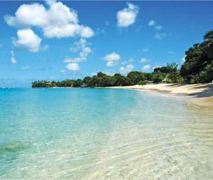 Walk to Beach, NEW LUX 4BD Villa & Pool! Near Holetown