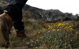 Lantern 22 - Balcony