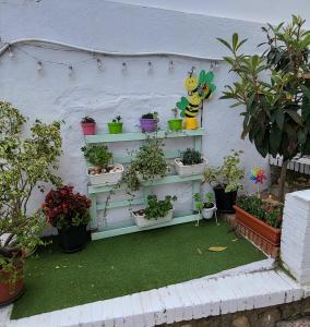 Málaga MONTE DORADO