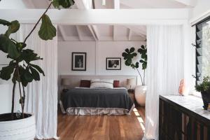 The Black Ace Residence Heated Magnesium Pool Avalon Beach