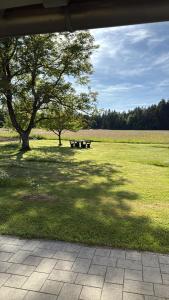 Gemütliche Ferienwohnung in Petzennähe