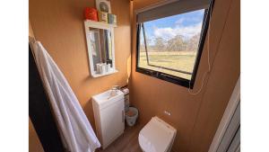 Moon Shadow by Tiny Away